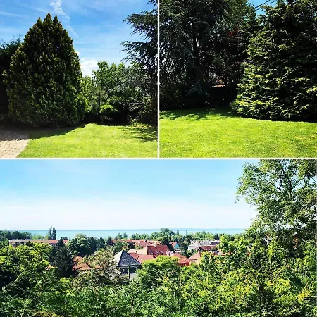 Koi Balatonalmadi